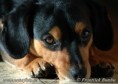 /album/fotogaleria/alik-9-4961-1-jpg/